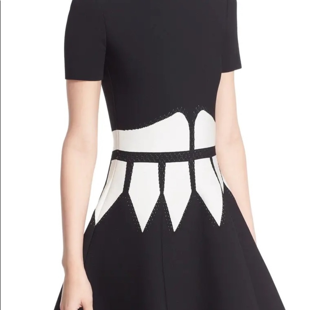 ALEXANDER MACQUEEN ntarsia Knit Fit & Flare Dress - Picture 7 of 11